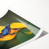 Extra large wall art featuring line art flowers in soft pastel shades on a rolled print.