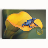 Black and white stretched canvas featuring a panoramic view of a Costa Rican landscape, ideal for kitchen wall art.