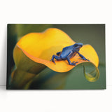 Black and white photo of a Costa Rican landscape on stretched canvas, ideal for kitchen wall art.