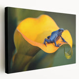 Large canvas print of a Costa Rican landscape with lush greenery and a distant mountain, suitable for kitchen wall art.