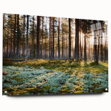 Acrylic print of a large abstract depiction of European scenery in muted earth tones.