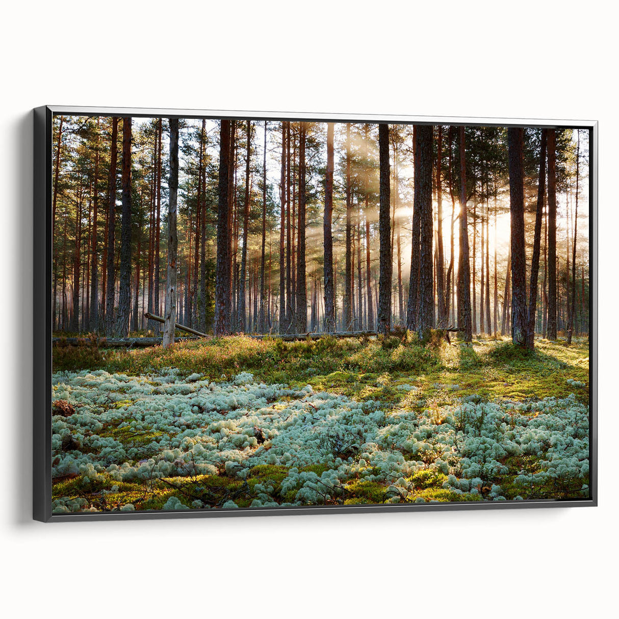 Black and white framed canvas of a vintage Estonian landscape, ideal for bedroom wall art.