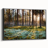 Black and white framed canvas of a vintage Estonian landscape, ideal for bedroom wall art.