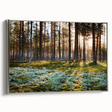 Framed canvas depicting a vintage European landscape with colorful art and black accents, ideal for living room decor.