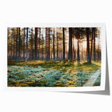 Extra large rolled print of a European scenery with vibrant floral elements, ideal for dining room wall art.