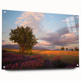 Acrylic print of a large abstract depiction of a Southern France landscape, in muted earth tones.