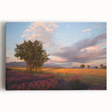 Black and white scenic photograph of a Southern French landscape on stretched canvas, ideal for kitchen wall art.