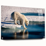 Large abstract wall art depicting a Greenland scenery in muted green tones on acrylic glass.