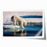 Rolled print of a Greenland landscape featuring muted green and blue tones, ideal for dining room wall art.