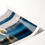 Extra large wall art featuring line art flowers in muted green tones on a rolled print, suitable for large living room decor.