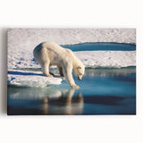 Black and white photograph of a Greenland landscape on large stretched canvas.