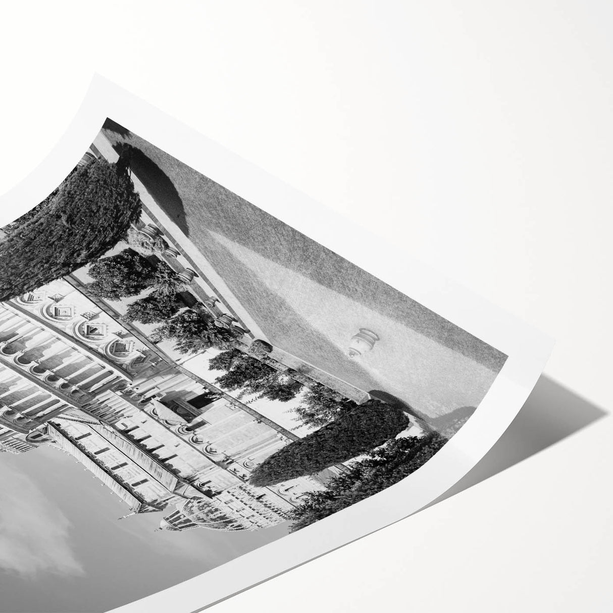 Extra large wall art featuring a line art depiction of flowers, in black and white, on a rolled print.