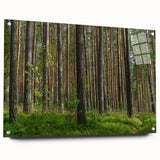 Acrylic glass print of a Lithuanian landscape, featuring soft green and blue tones, ideal for bedroom or dining room decor.