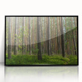 Large abstract wall art depicting a European Lithuanian scenery in muted earth tones on a framed acrylic.