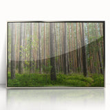 Large art print of a European Lithuanian scenery in muted greens and blues on a silver-framed acrylic.