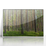 Mid-century modernist art depicting a European Lithuanian landscape in muted greens and blues on a framed acrylic print.