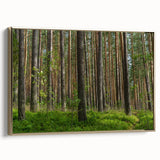 Vintage poster art of a Lithuanian landscape on a framed canvas, with a gold frame, featuring vibrant colors.