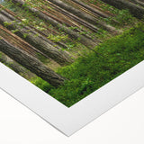 Art deco poster of a Lithuanian landscape in muted green and blue tones on rolled canvas, suitable for dining room wall art.