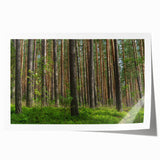 Rolled print of a serene Lithuanian landscape with soft green and blue tones, ideal for dining room wall art.