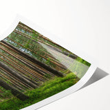 Extra large wall art featuring line art flowers in black and white on a rolled canvas, ideal for large living room decor.