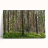 Large black and white stretched canvas of a scenic Lithuanian landscape, ideal for kitchen wall art.