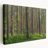 Scenic view of a European Lithuanian landscape on a large stretched canvas, featuring lush green tones.