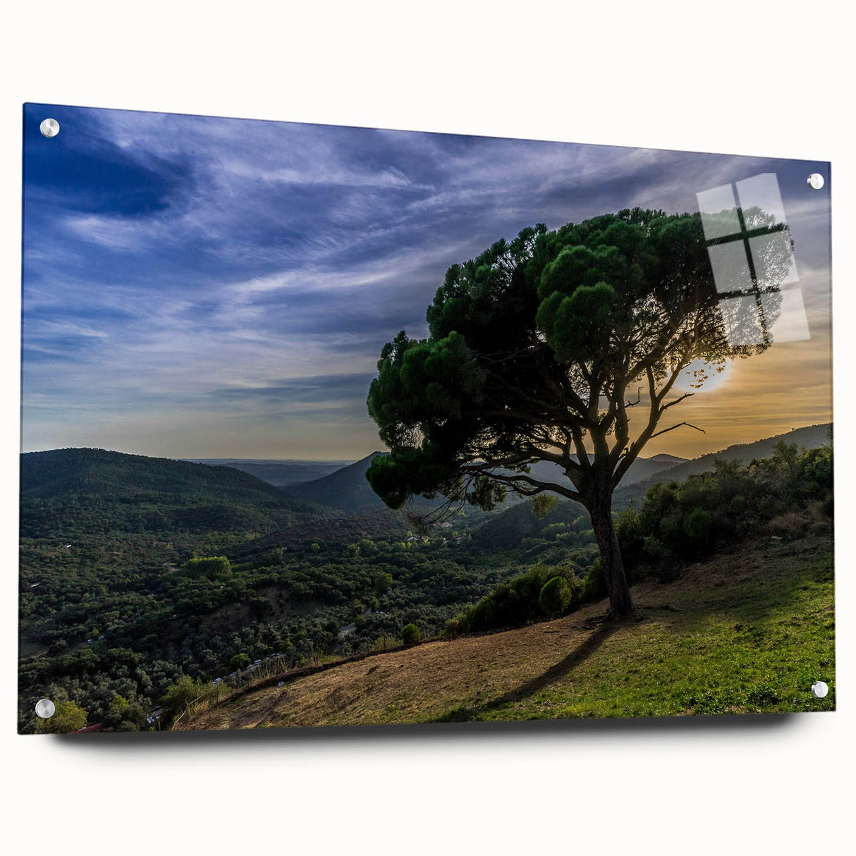 Acrylic print of Andalucia, Spain landscape in muted earth tones, ideal for dining room decor.