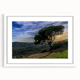 Extra large abstract art print of Andalucian scenery in textured hues of blue and gold, framed with a white mat.