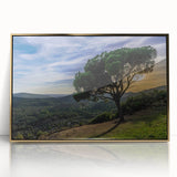 Mid-century modernist art depicting Andalucia, Spain scenery in acrylic, featuring gold frames.