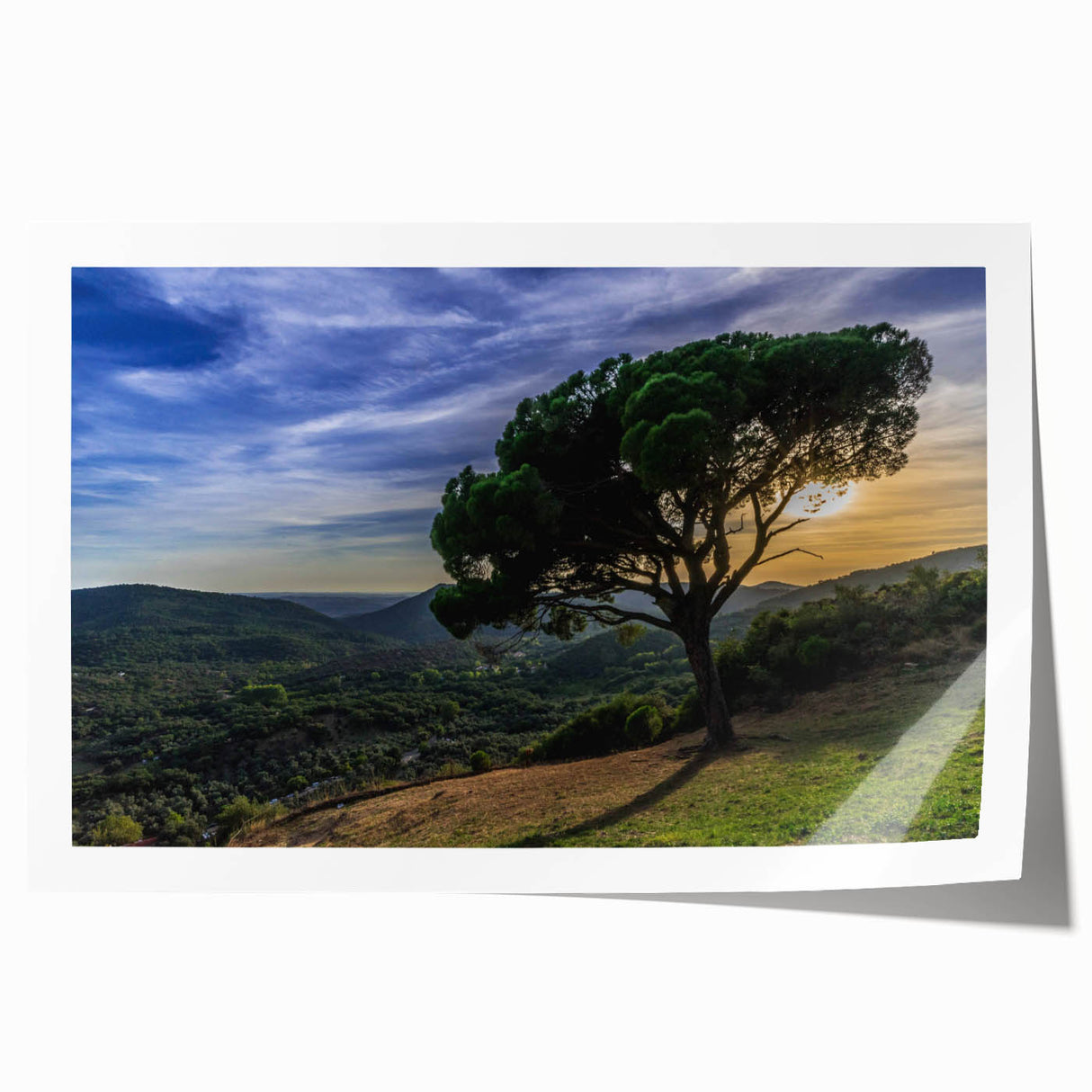 Rolled print of Andalucia, Spain scenery, featuring vibrant floral elements, ideal for art wall dining room.