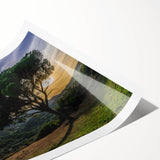 Extra large rolled print featuring line art flowers in muted earth tones, ideal for large living room wall art.