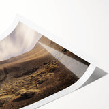 Extra large wall art featuring line art flowers in neutral tones on rolled canvas, ideal for large living room decor.