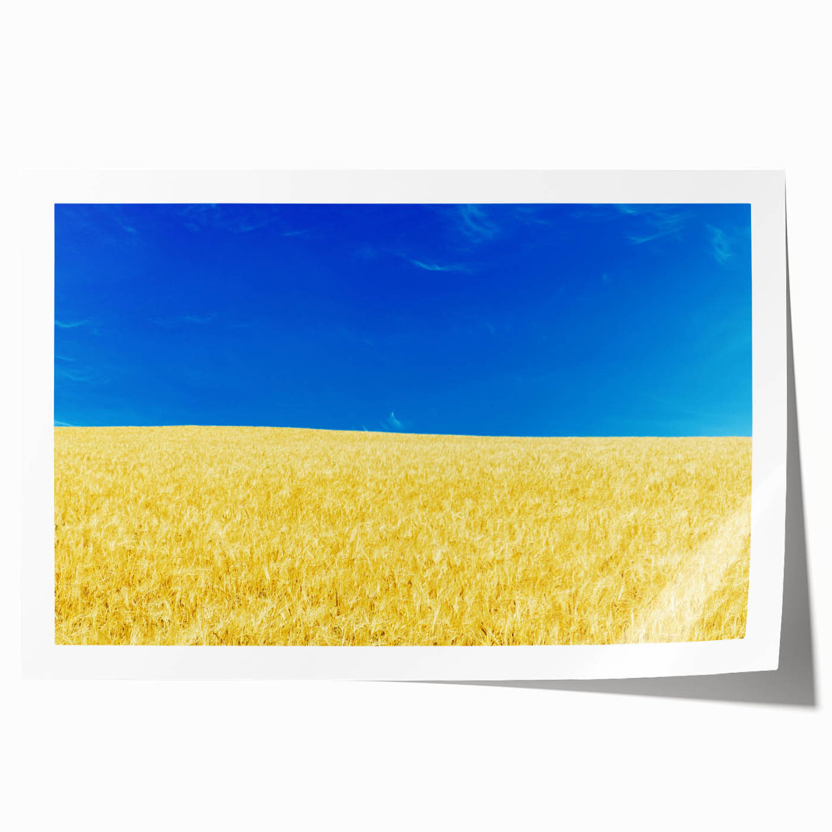 Extra large rolled print of a Ukrainian landscape featuring vibrant floral elements, ideal for art wall dining room.