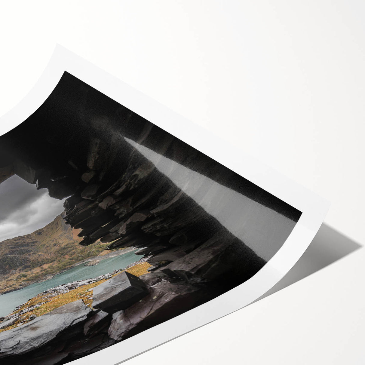 Extra large rolled print featuring line art flowers in muted earth tones, ideal for large living room wall decor.
