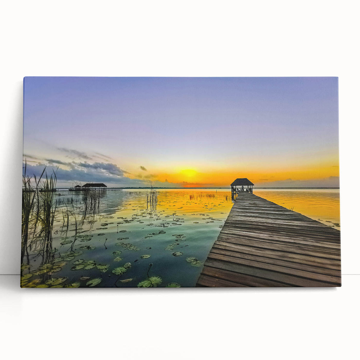 Large black and white stretched canvas of Quintana Roo scenery, ideal for kitchen wall art or bedroom ambiance.