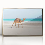 Mid-century modernist large art print of Oman scenery in gold tones on a framed acrylic, suitable for modern art wall decor.