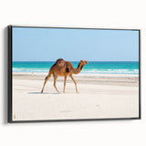 Black and white framed canvas of a Middle Eastern landscape, ideal for bedroom wall art.