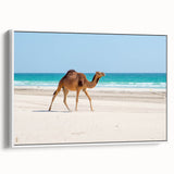 Vintage poster art featuring a scenic Middle Eastern landscape in vibrant colors on a framed canvas.
