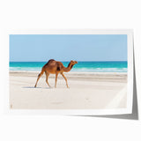 Extra large rolled print featuring a Middle Eastern Oman scenery in muted earth tones, ideal for art wall dining room.
