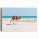 Black and white photograph of Oman scenery on large stretched canvas, suitable as kitchen wall art.