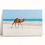 Black and white photo of Oman scenery on stretched canvas, ideal for kitchen wall art or bedroom ambiance.