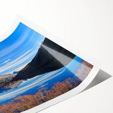 Extra large wall art featuring line art flowers in muted earth tones on a rolled canvas, ideal for large living room decor.