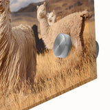 Large abstract wall art featuring a Bolivian landscape in muted earth tones on acrylic glass.