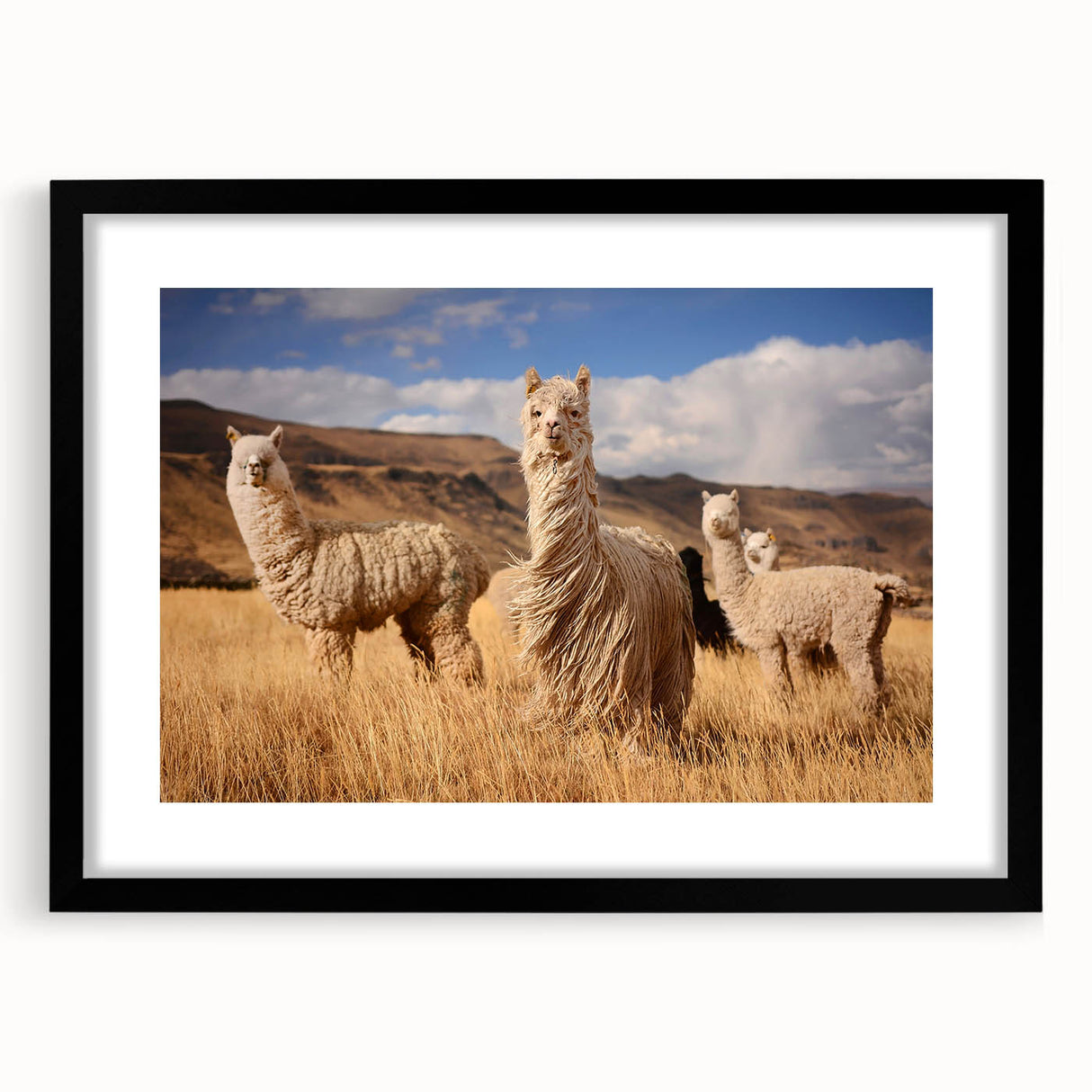Extra large abstract art print featuring a colorful, textured depiction of a Bolivian landscape on a framed black canvas.