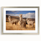 Textured abstract art print depicting a Bolivian landscape in muted earth tones, framed in silver, ideal for bedroom art.