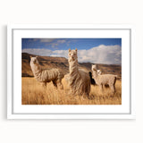 Abstract art print of a Bolivian landscape in muted earth tones on a white-framed mat, ideal for dining room decor.