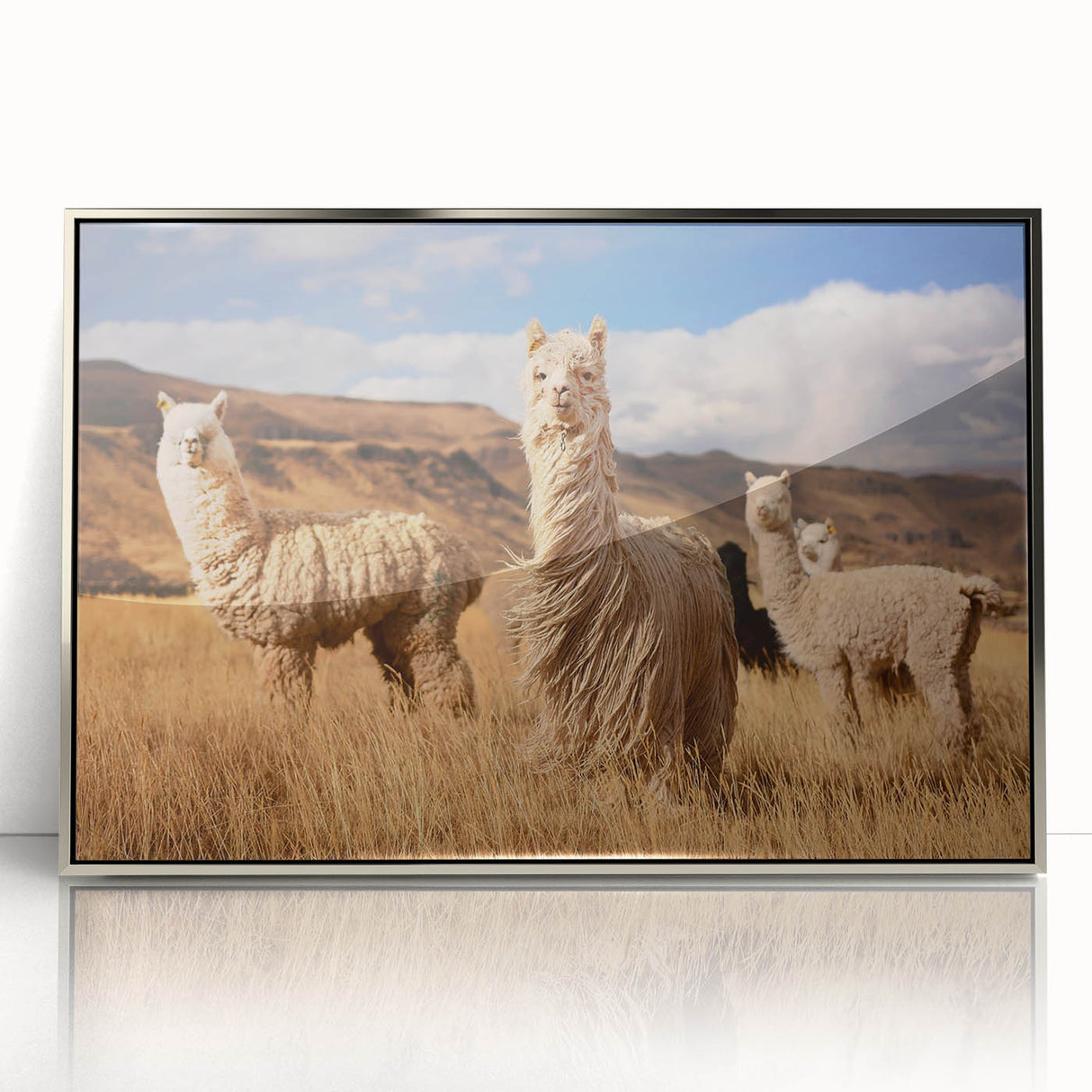 Mid-century modernist art depicting a serene Bolivian landscape, in muted earth tones, silver-framed acrylic print.