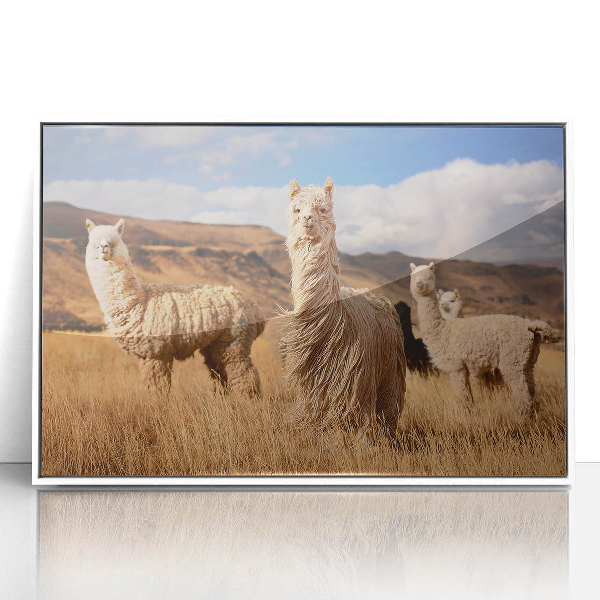 Acrylic print of a South American scenic landscape in muted earth tones, framed in white, suitable for modern art wall decor.