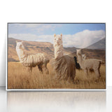 Acrylic print of a South American scenic landscape in muted earth tones, framed in white, suitable for modern art wall decor.