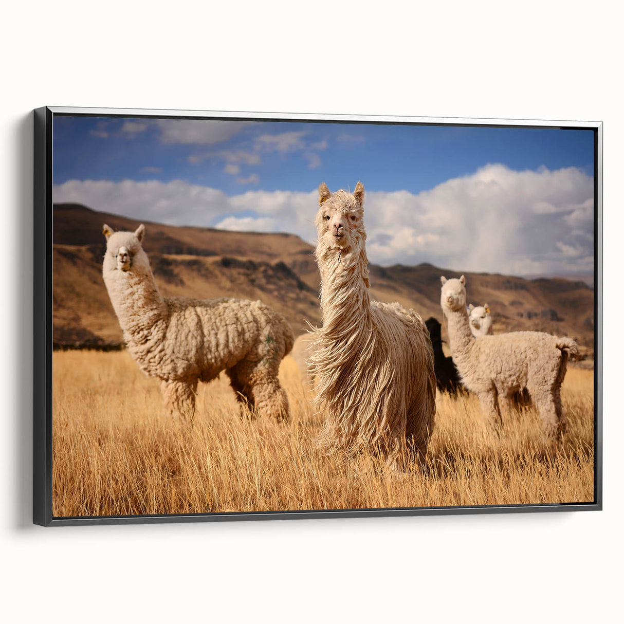 Black and white framed canvas of a Bolivian landscape, featuring vintage poster art style, ideal for bedroom decor.